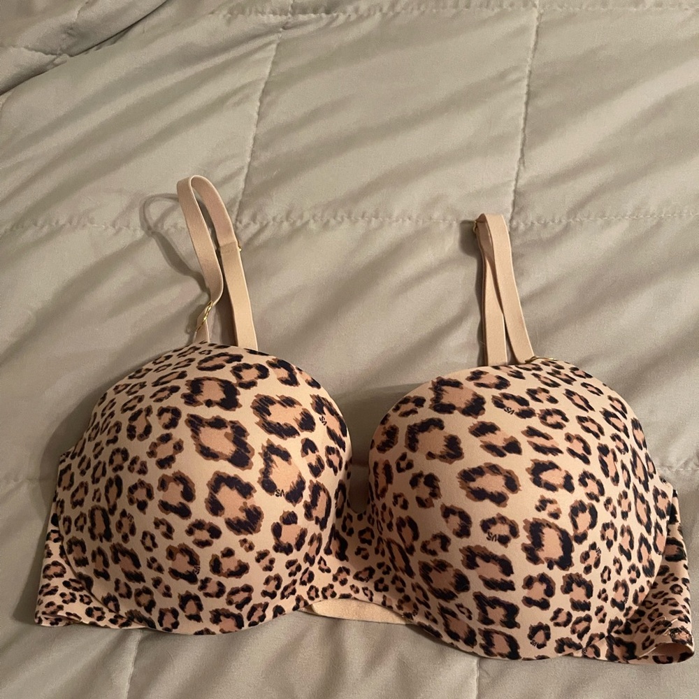 VS Incredible Bra